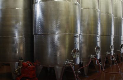 molon-luigino-cantina-cover