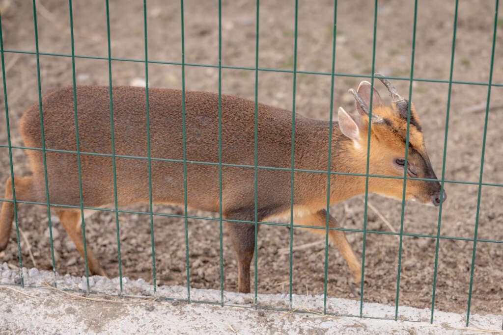 IMG_8374-1024×683-1