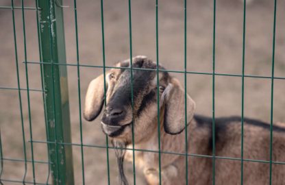 IMG_8387-1024×683-1