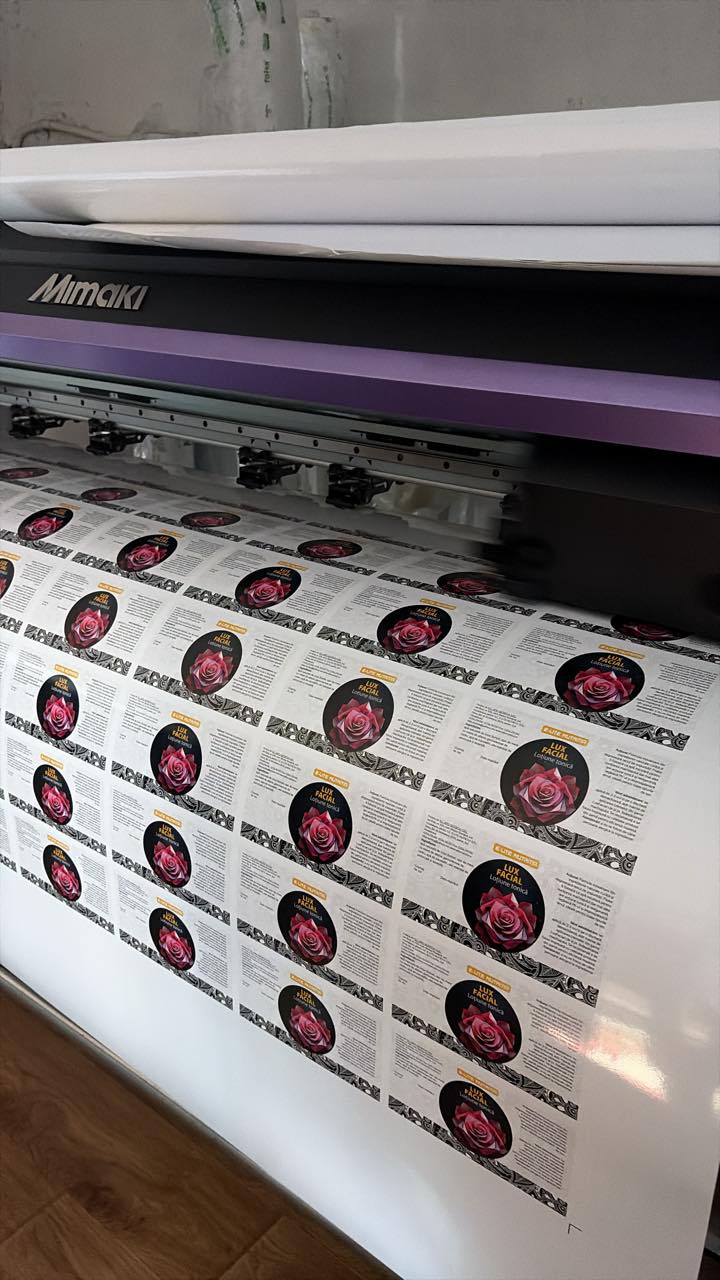 645305942_1540167118115112_8817063351965794210_n